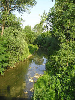 INGRANDISCI